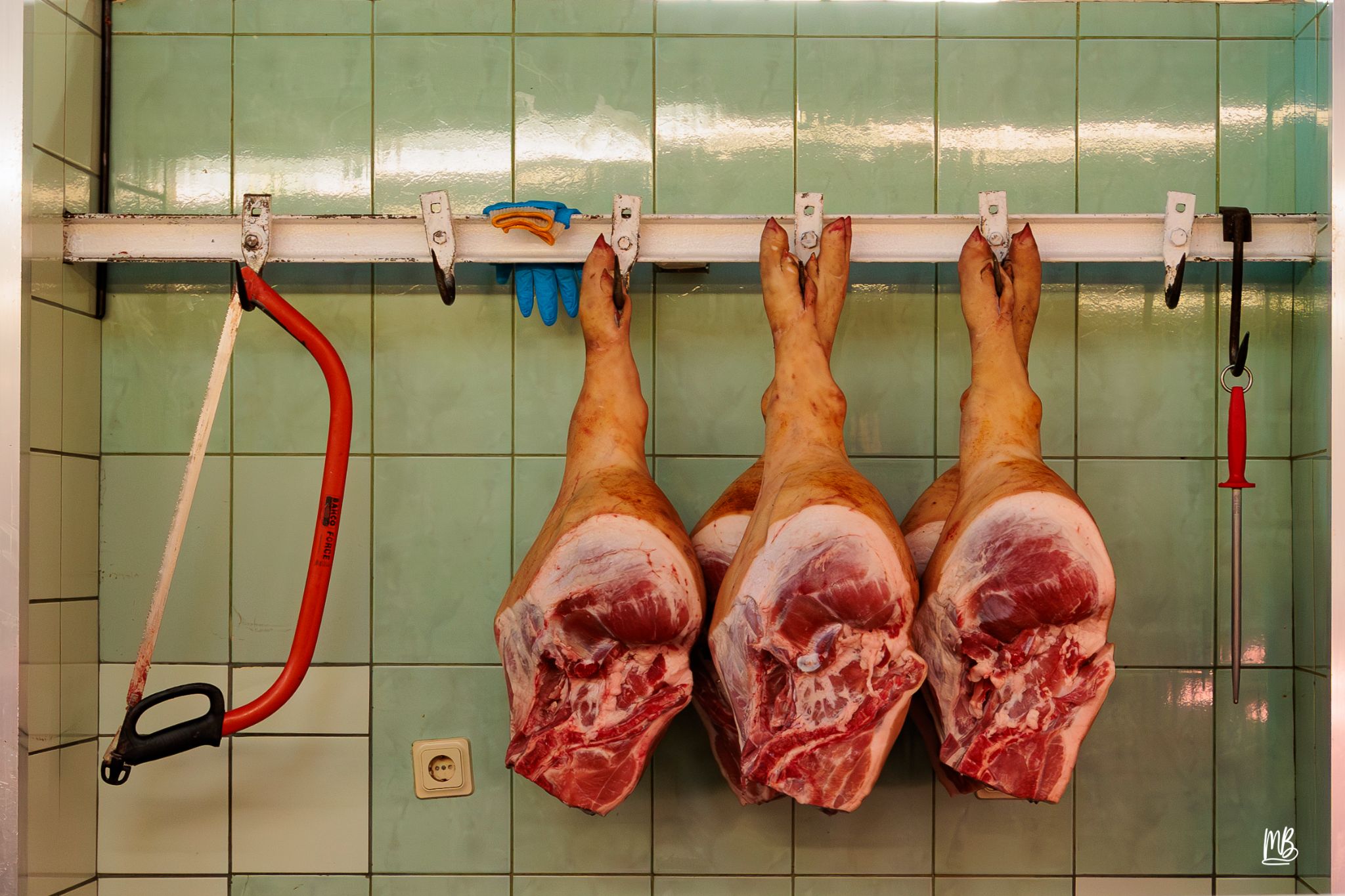 2024   Riga   MB 264